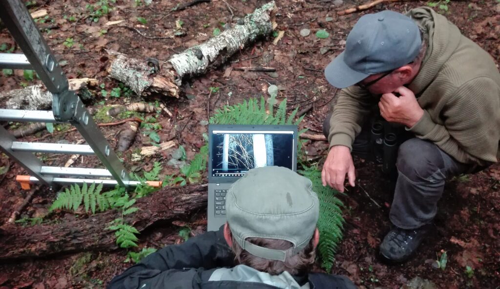 flying squirrel tout